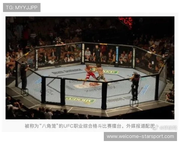 格斗UFC：超级对决燃爆全场，擂台争锋！，ufc超越拳击